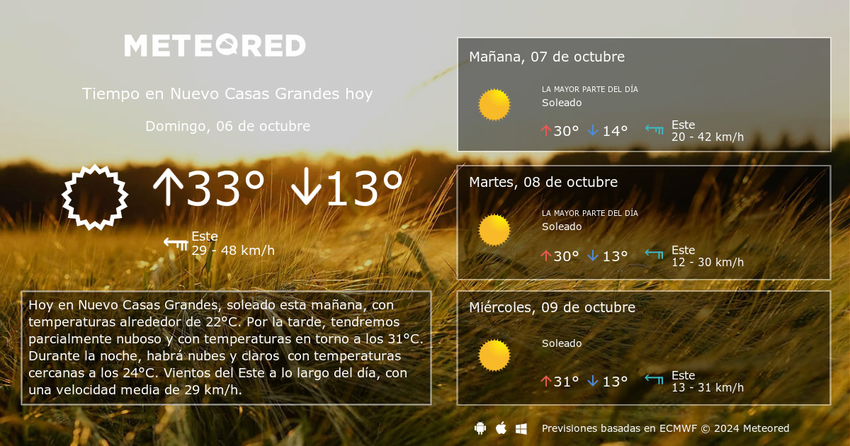 Tiempo en Nuevo Casas Grandes. Clima a 14 días - Meteored